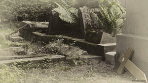 LostPlace_melaten_2018_05_12_4649.jpg LostPlace_melaten_2018_05_12_4649.jpg