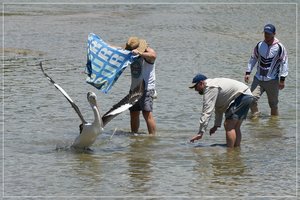 1500_+R7R201361.jpg 1500_+R7R201361.jpg