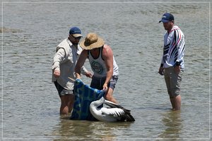 1500_+R7R201363.jpg 1500_+R7R201363.jpg