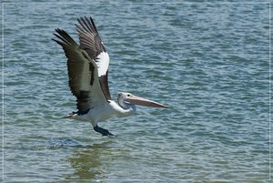 1500_+R7R201365.jpg 1500_+R7R201365.jpg