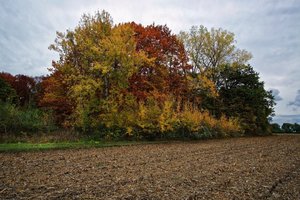 Bild 27.10.18 um 18.31.jpg