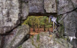 Bild 27.10.18 um 18.19.jpg