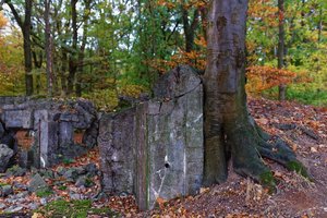 Bild 27.10.18 um 17.41.jpg