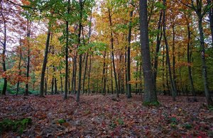 Bild 27.10.18 um 18.36.jpg