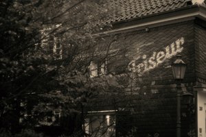 sw01 DSC05320sw Nex5r + Porst 1,4 55mm©PPf.jpg