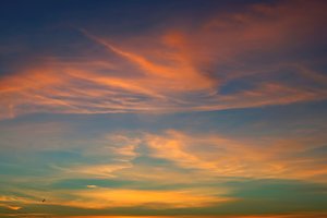 Forum DSC05455twpsf_NI©PPf.jpg