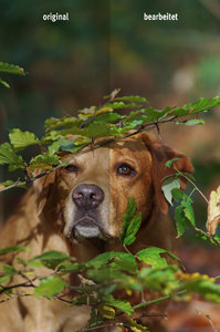 B-Seminar 4 - BEA.jpg