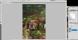 B-Seminar 4 - BEA-PS.jpg