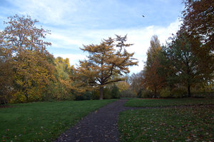B Stadtpark RE Bäume 2.jpg