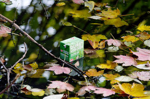 B Stadtpark RE Blätter und Zweige 2.jpg