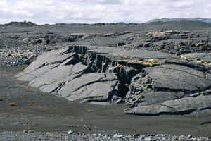 SDIM3451 Kopie.jpg SDIM3451 Kopie.jpg