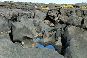 SDIM3456 Kopie.jpg SDIM3456 Kopie.jpg