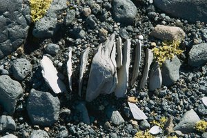 SDIM3460 Kopie.jpg SDIM3460 Kopie.jpg