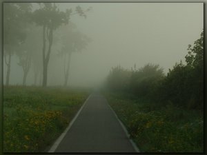 nebel0018.jpg