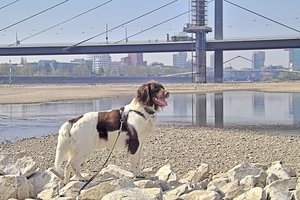 Ich war nicht allein IMG05930h (c) PPf.jpg