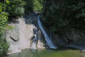 Starzlach-IMG00604.jpg Starzlach-IMG00604.jpg