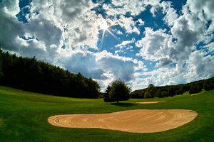 SDIM1108.jpg SDIM1108.jpg