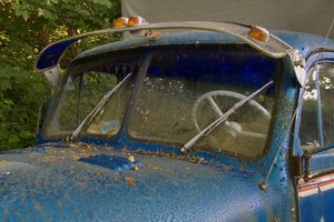 Rostlaube-SD14 - SDIM5855_1.jpg