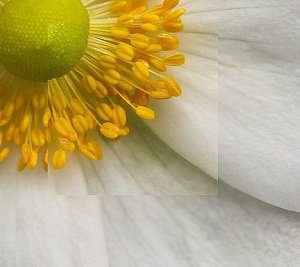 SD-Lumi.jpg SD-Lumi.jpg