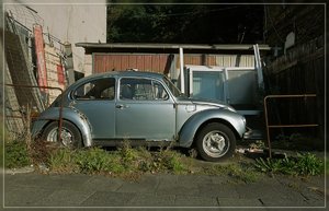 Parken-SD14 - SDIM7255_1.jpg