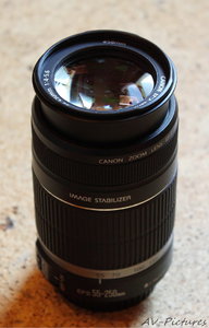 AV_EFS 55-250 IS.jpg