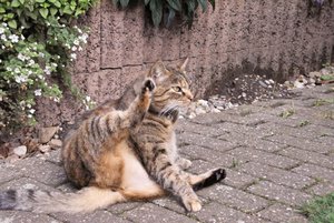 SDIM0011.jpg SDIM0011.jpg