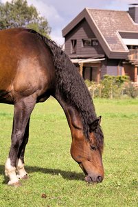 SDIM0015.jpg SDIM0015.jpg