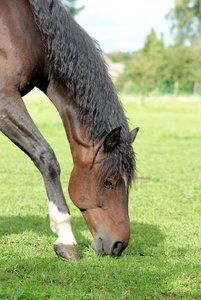 DSC00056.jpg DSC00056.jpg