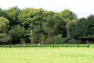 DSC00057.jpg DSC00057.jpg