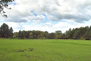 SDIM0023.jpg SDIM0023.jpg