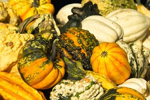 SDIM0080.jpg SDIM0080.jpg