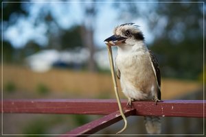 1500_+R7R201560.jpg 1500_+R7R201560.jpg