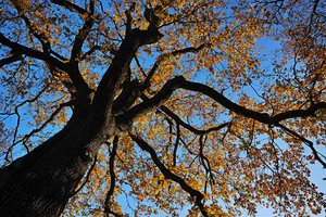 HD_DP0Q0059f.jpg HD_DP0Q0059f.jpg