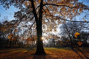 HD_DP0Q0062f.jpg HD_DP0Q0062f.jpg