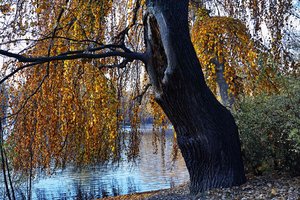 HD_DP2Q0039f.jpg HD_DP2Q0039f.jpg