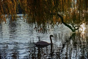 HD_DP3Q1858f.jpg HD_DP3Q1858f.jpg