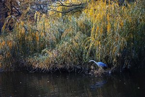 HD_DP3Q1868f.jpg HD_DP3Q1868f.jpg