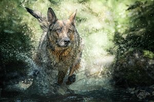 comp_Claudia_Christ _0098-Bearbeitet.jpg