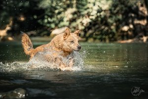 comp_Claudia_Christ _0106-Bearbeitet.jpg