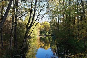 Bild 16.11.18 um 21.25.jpg