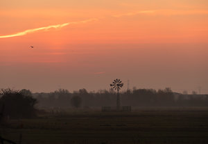 misty morning sunrise-midi-1.jpg