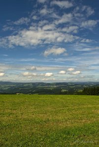 AV_Schwarzwald 2.jpg