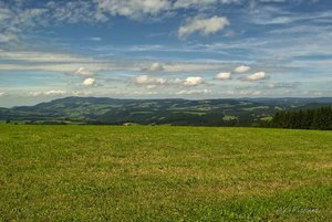 AV_Schwarzwald 3.jpg