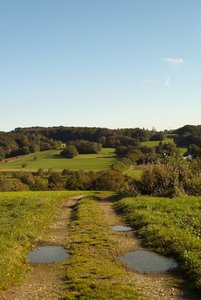 SDIM4066.jpg SDIM4066.jpg