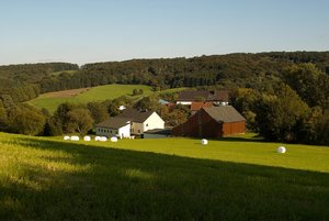 SDIM4067.jpg SDIM4067.jpg