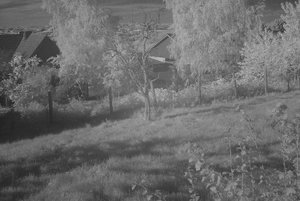 IR SDIM9624hfin(c) PPf.jpg