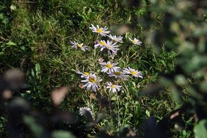 comp_SDIM0054_1-1 Kopie.jpg