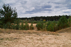 herbstlandschaft2.jpg