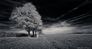 1shot1moment@bilderforum (1 von 1).jpg