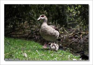 SDIM1329.jpg SDIM1329.jpg